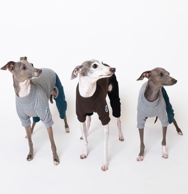 ５スリーブロンパース（5分丈） gray × green  / イタグレ服