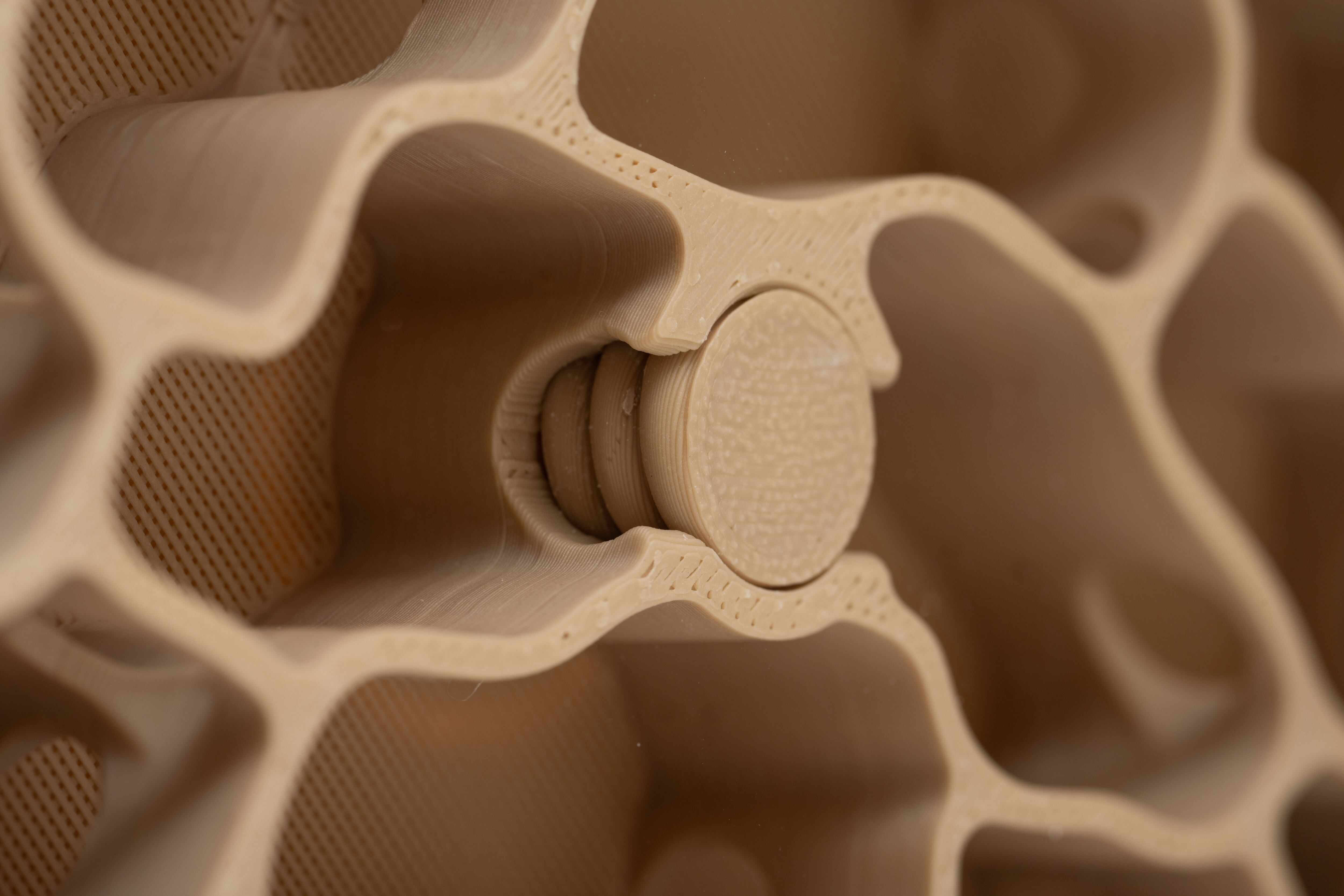 Ant case NEXST MAX(セット) | ANT STREET MARKET / アリ販売店