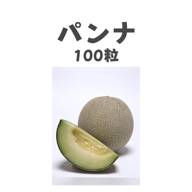 パンナ　メロン種子・100粒
