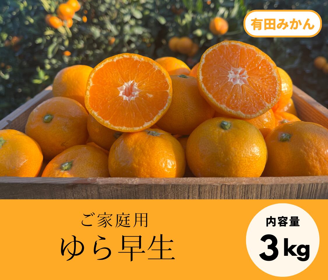 【ご家庭用】ゆら早生・3kg