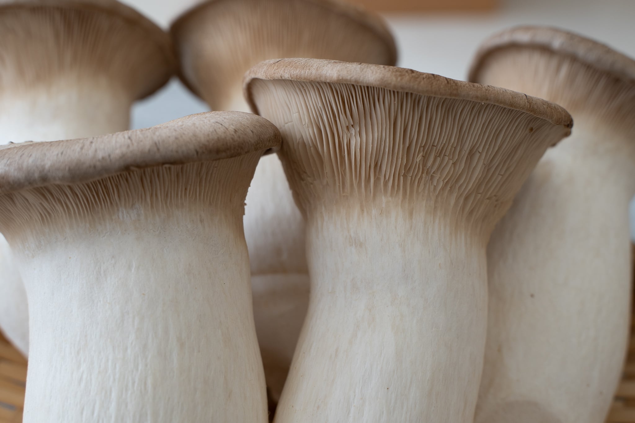 21dc06ea09e73da0685862f9fd2ebd