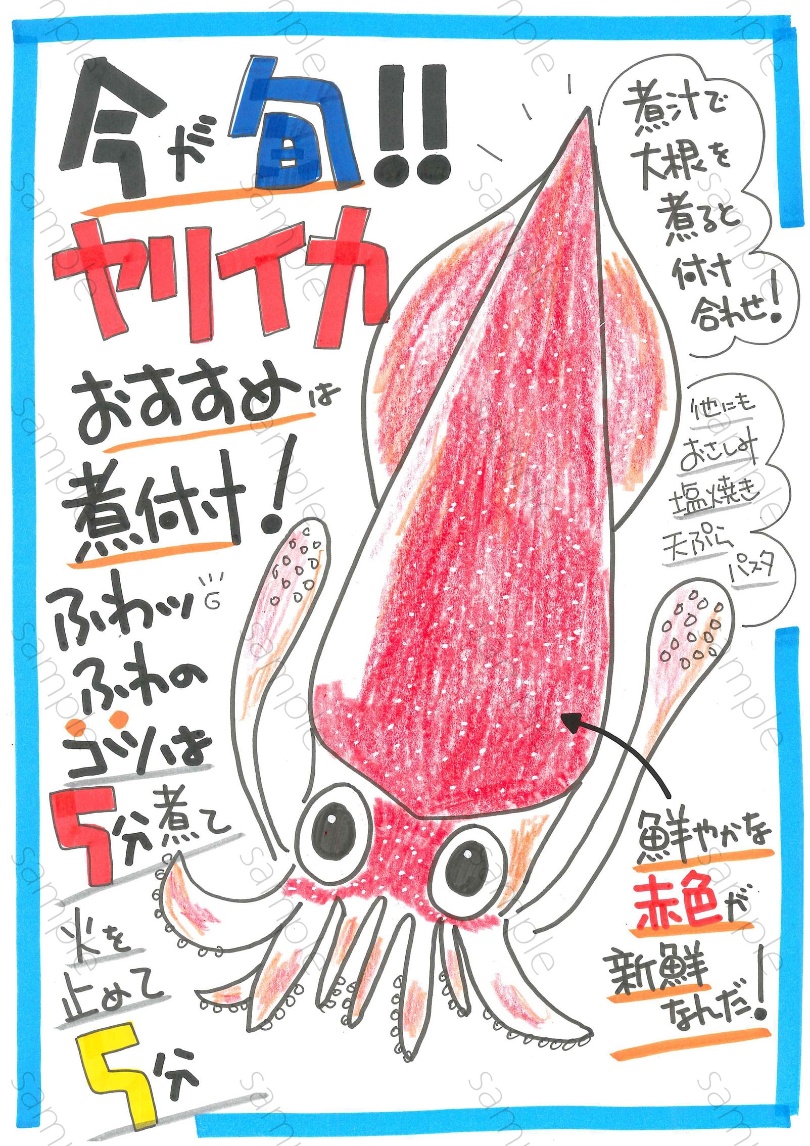 今が旬！ヤリイカ