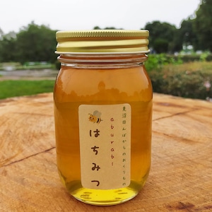 埼玉県産　見沼田んぼからのおくりもの　aburabi　はちみつ　560ｇ　手作り　非加熱国産百花蜜