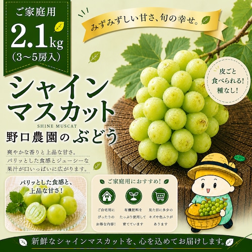 ◻️ご家庭用 シャインマスカット2.1kg(3~5房入)✮