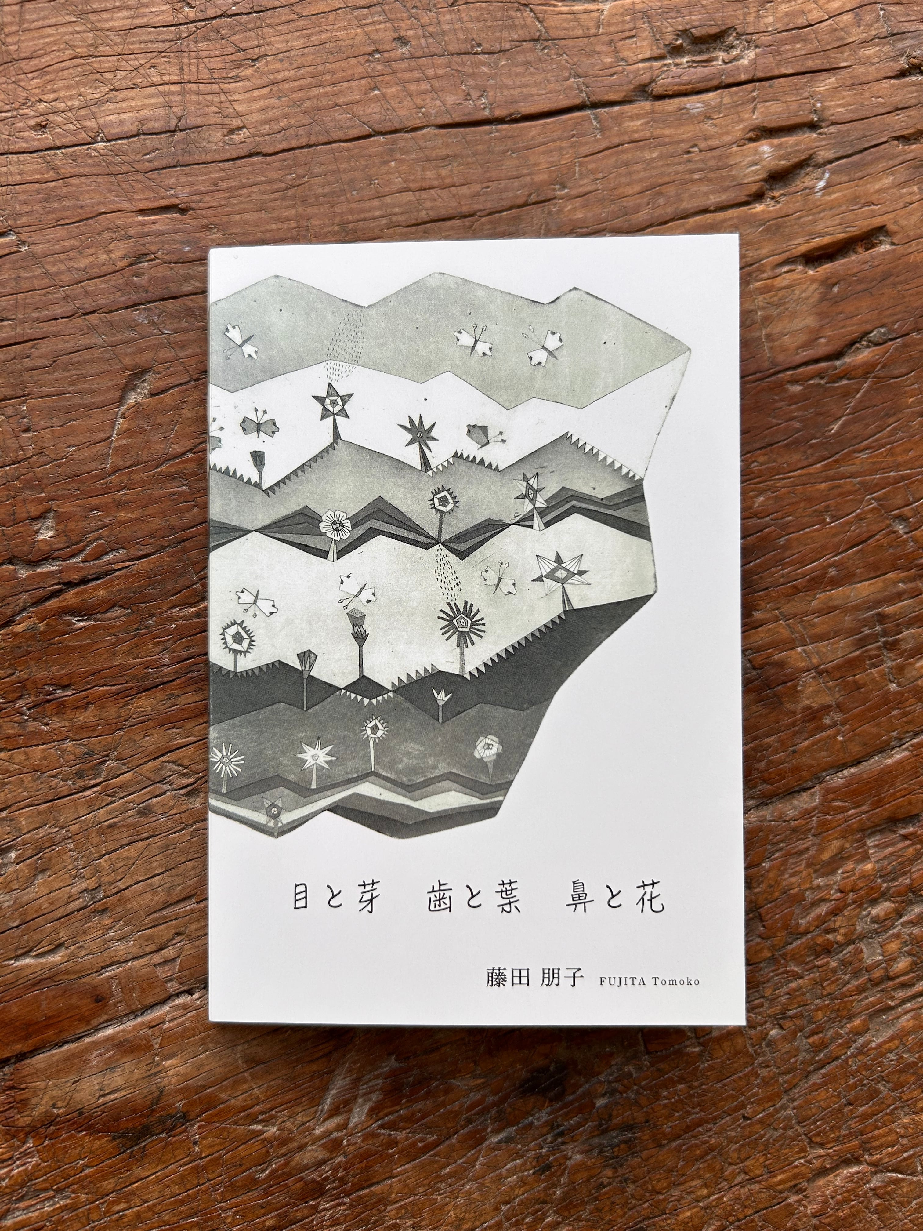 藤田朋子 | galleryサラ