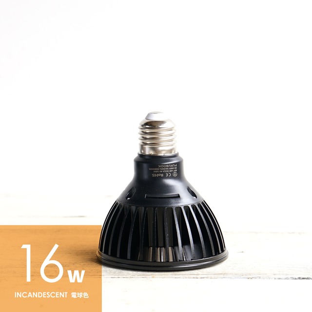 LEDライト 小型AS型 16W 電球色 ブラック