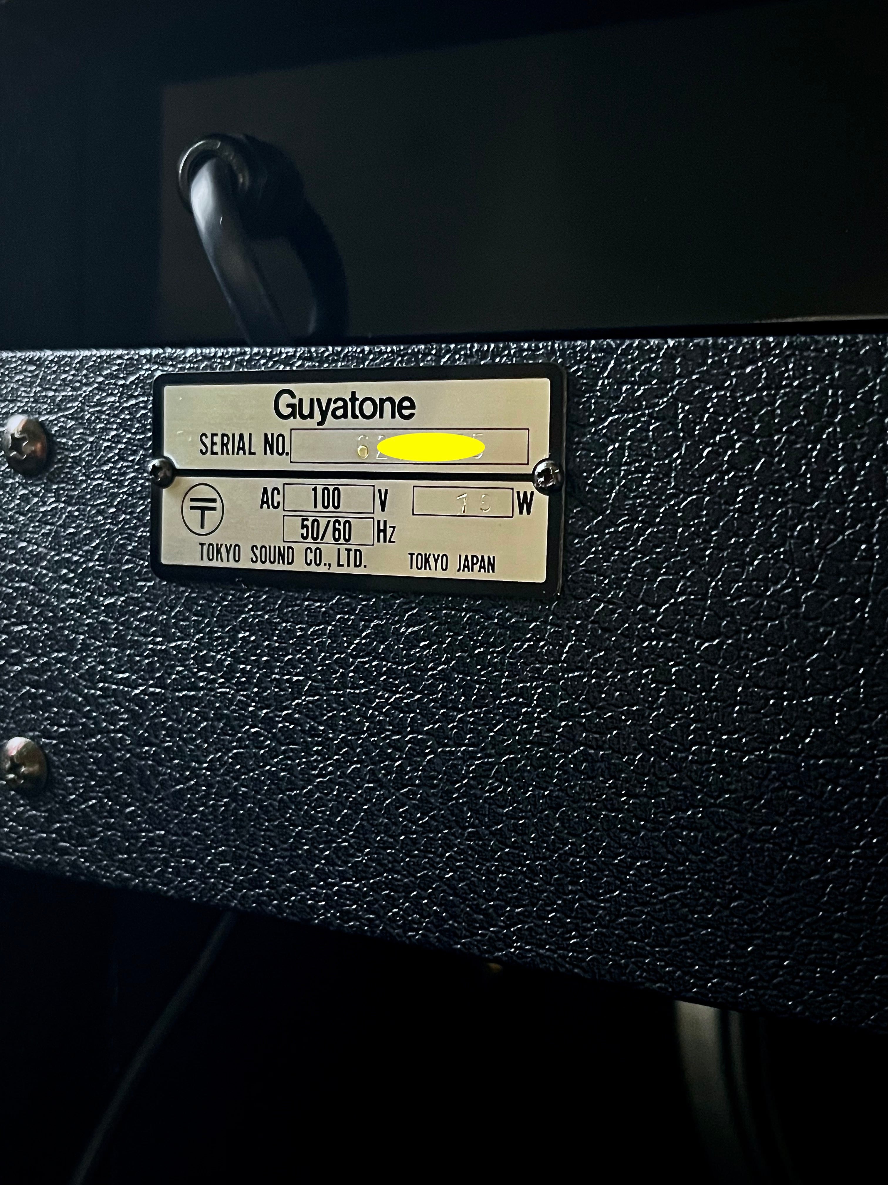 ☆こだわりの真空管アンプ！☆ グヤトーン FLIP GA-200FJC CELESTION