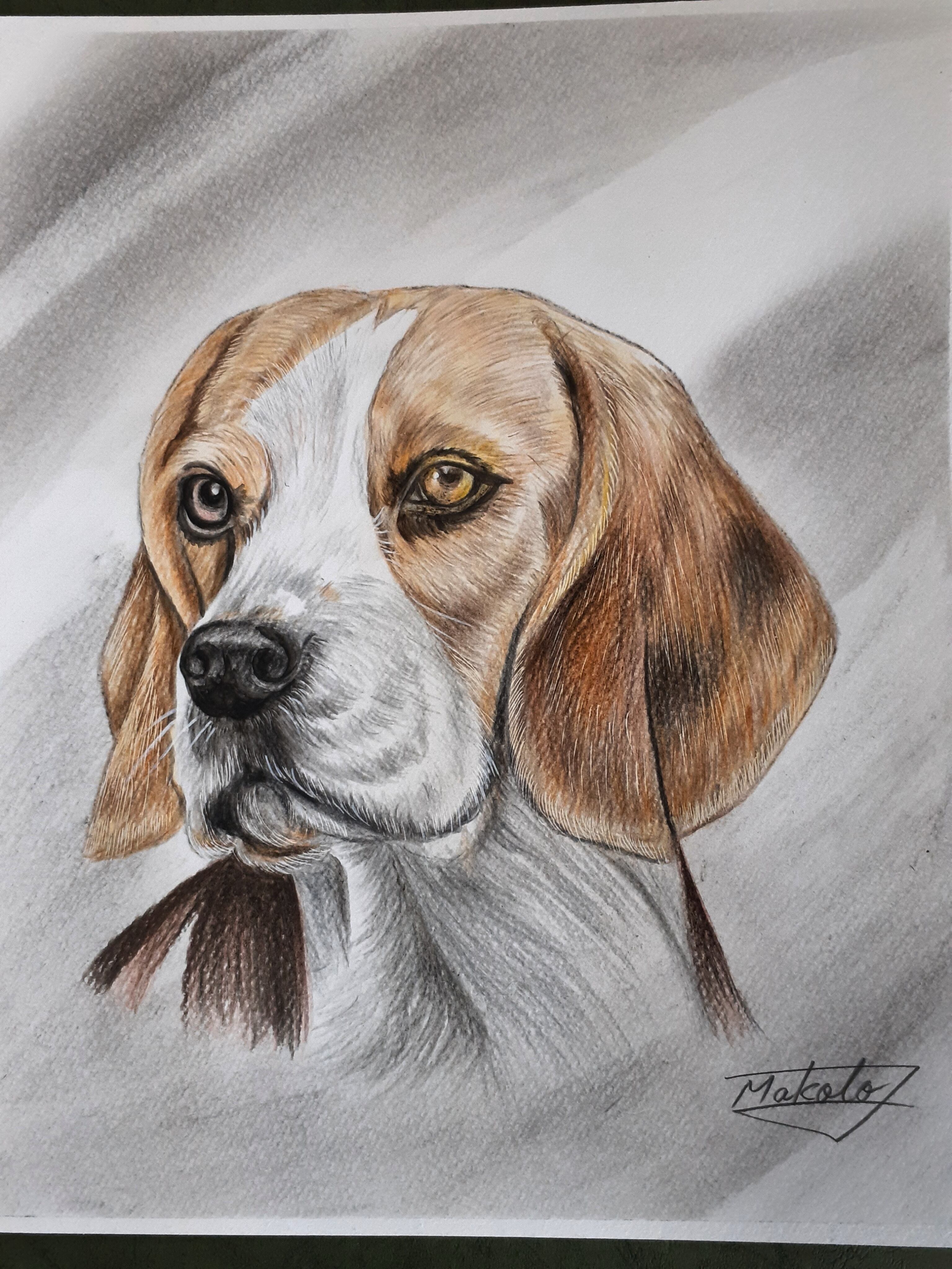 21eb6c6b953944e9314c97d8b39d15