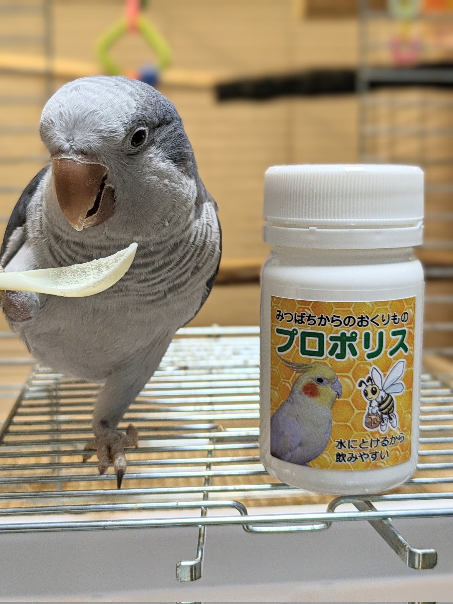 みつばちからのおくりものプロポリス(40g)チョコボC はちみつと