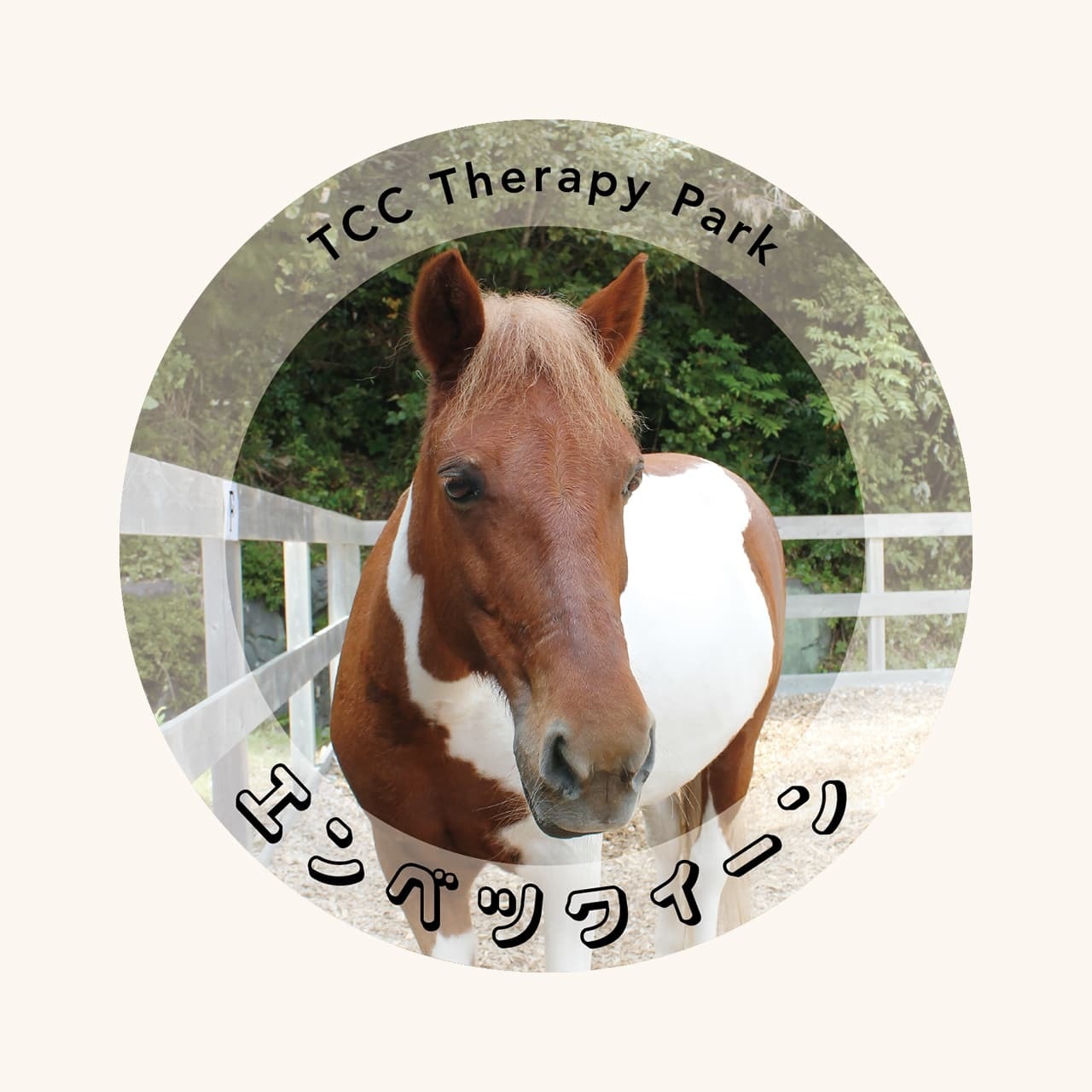 TCC 缶バッジ エンベツクイーン