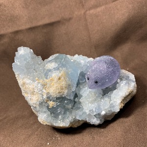 2セレスタイトに住み着いているフローライトハリネズミさん