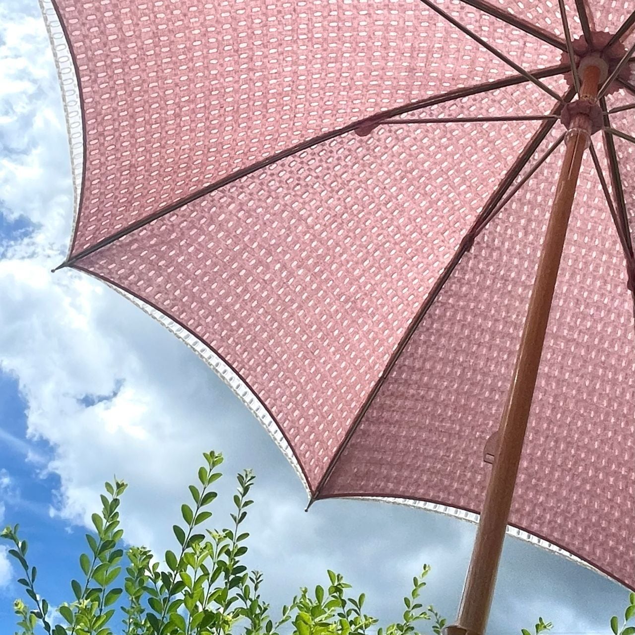 日傘 | 小野内商店