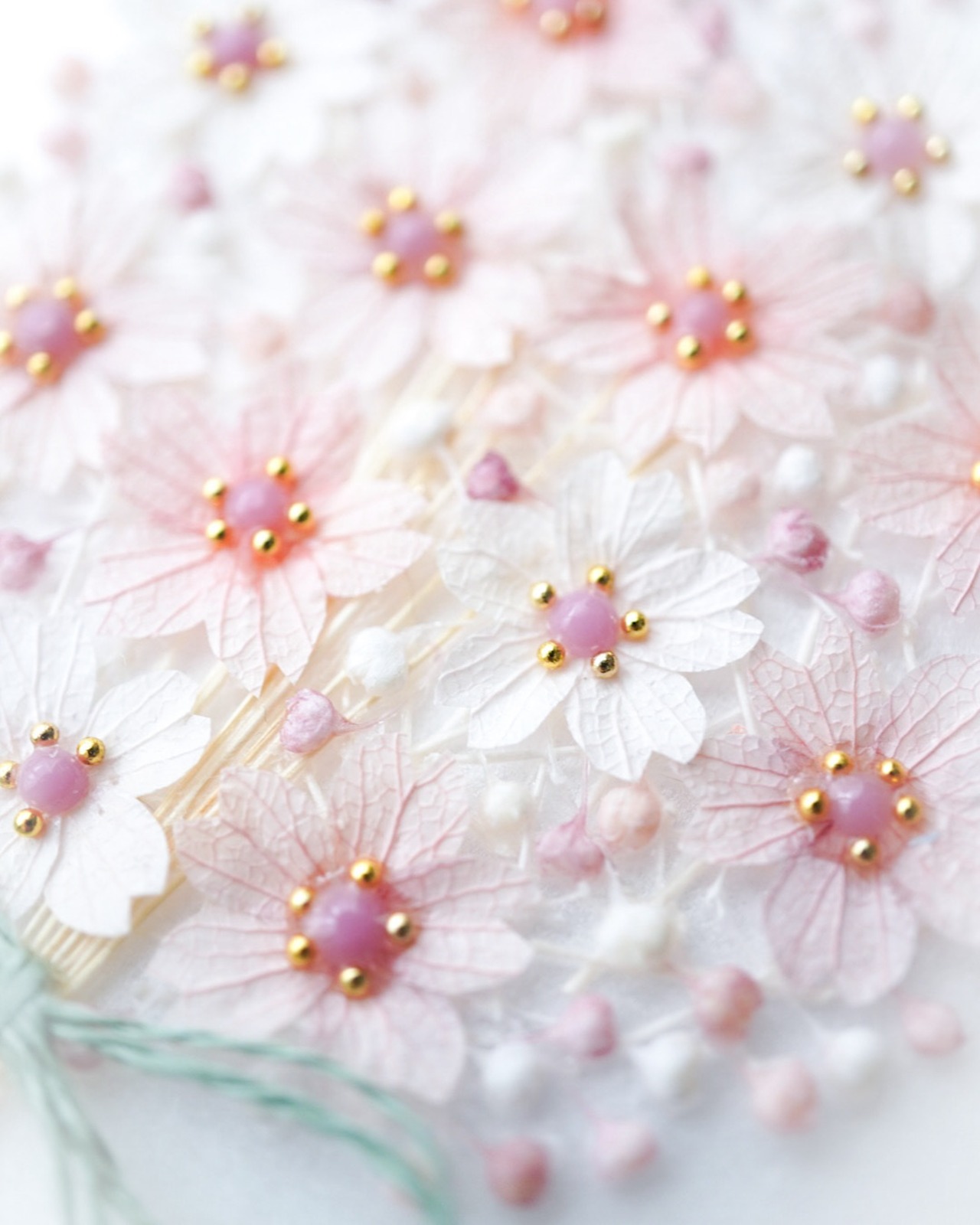 3月限定『 - sakura - 』