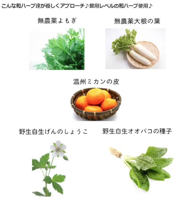和ハーブ よもぎ蒸しパック ほっこり陽だまり 20包  国産無農薬ハーブ 送料無料