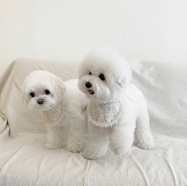 〈 即納アイテム〉EYOU スタイ/フローラルベベビブ イエロー S〜Mサイズ