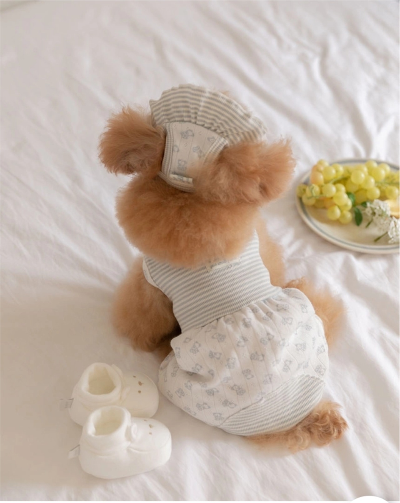 予約【Todley】Petite Bear Bonet（Pink/White）