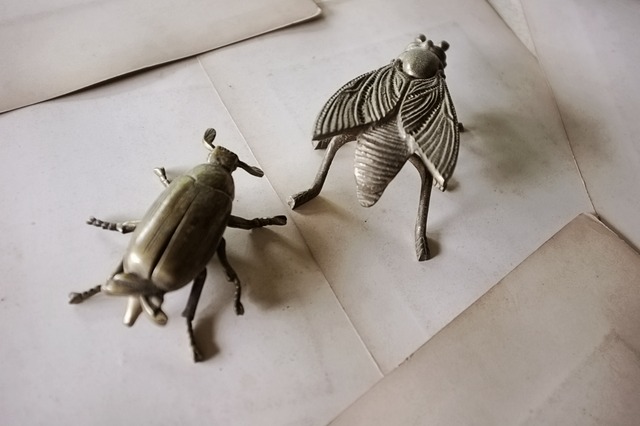 France vintage 13c  永遠の硬化と黄金虫のトレイ