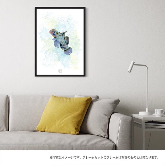 【海のいきものアートポスター／魚】スポテッドマンダリン