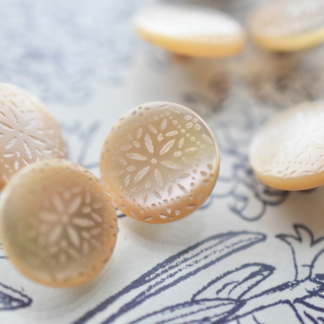 カッティングフラワー(高瀬貝)13㎜