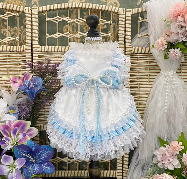 《予約》3102465 ブルーレースドレス