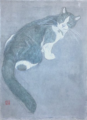 千坂尚義　猫１