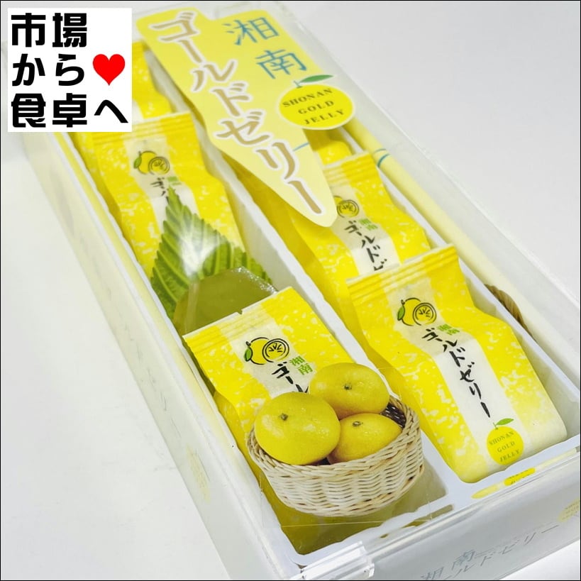 湘南ゴールドゼリー 5箱(1箱8個入り)【湘南ゴールド使用】爽やかな香り
