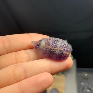 20ハリネズミフローライト