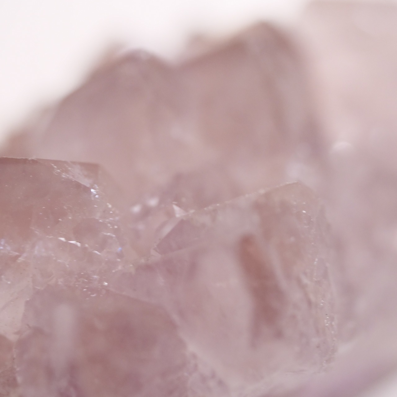 フラワー アメシスト アメジスト / 原石 標本