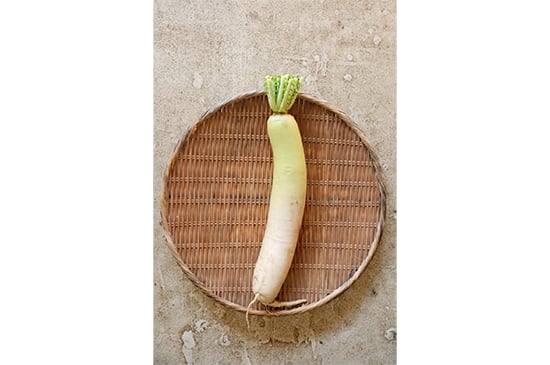 【青首大根のルーツ】宮重大根・1本