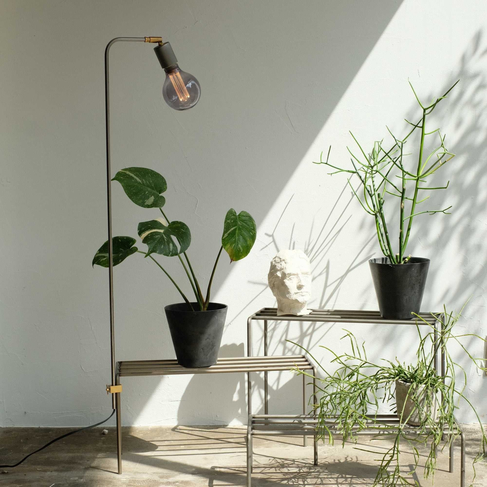 江戸街楽 デザイン｜【公式】ﾛｰﾚﾙｺｰﾄ船堀│東京都江戸川区の新築分譲ﾏﾝｼｮﾝ