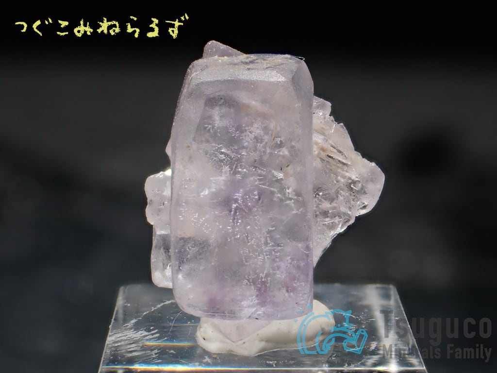 フローライト 蛍石 Fluorite スペイン TM-0049【レタパライト可】