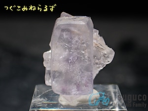 フローライト 蛍石 Fluorite スペイン TM-0049【レタパライト可】