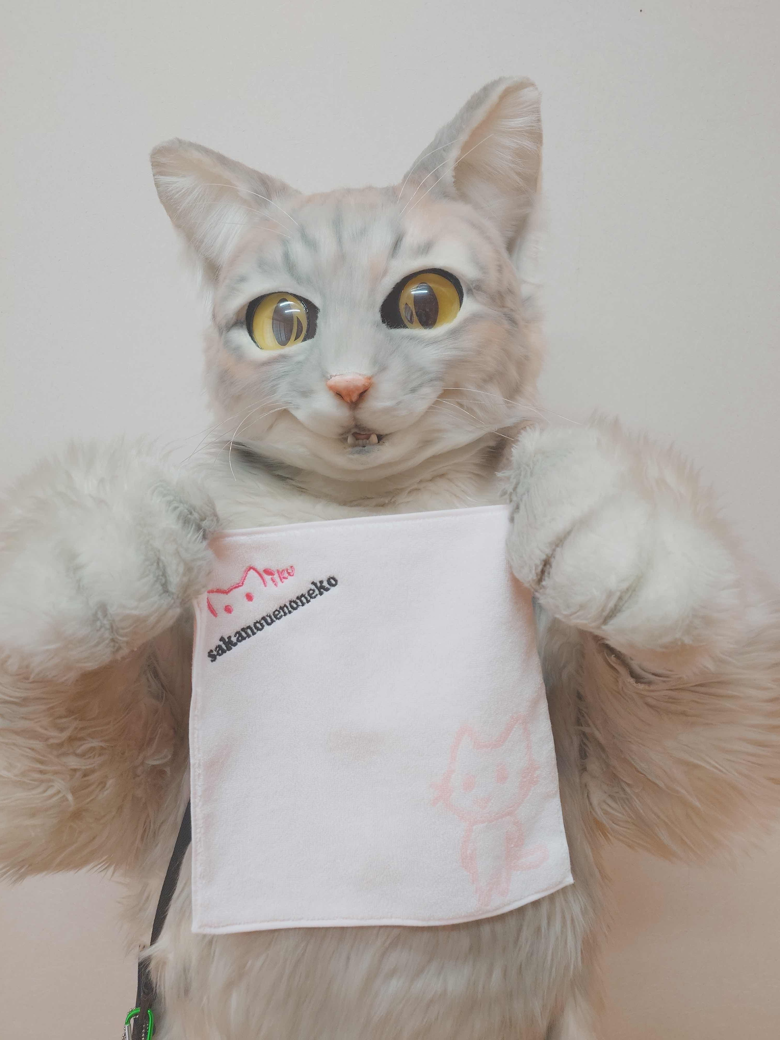 今治タオル(ハンドタオル、スポーツタオルセット)【送料込み】 | 坂の