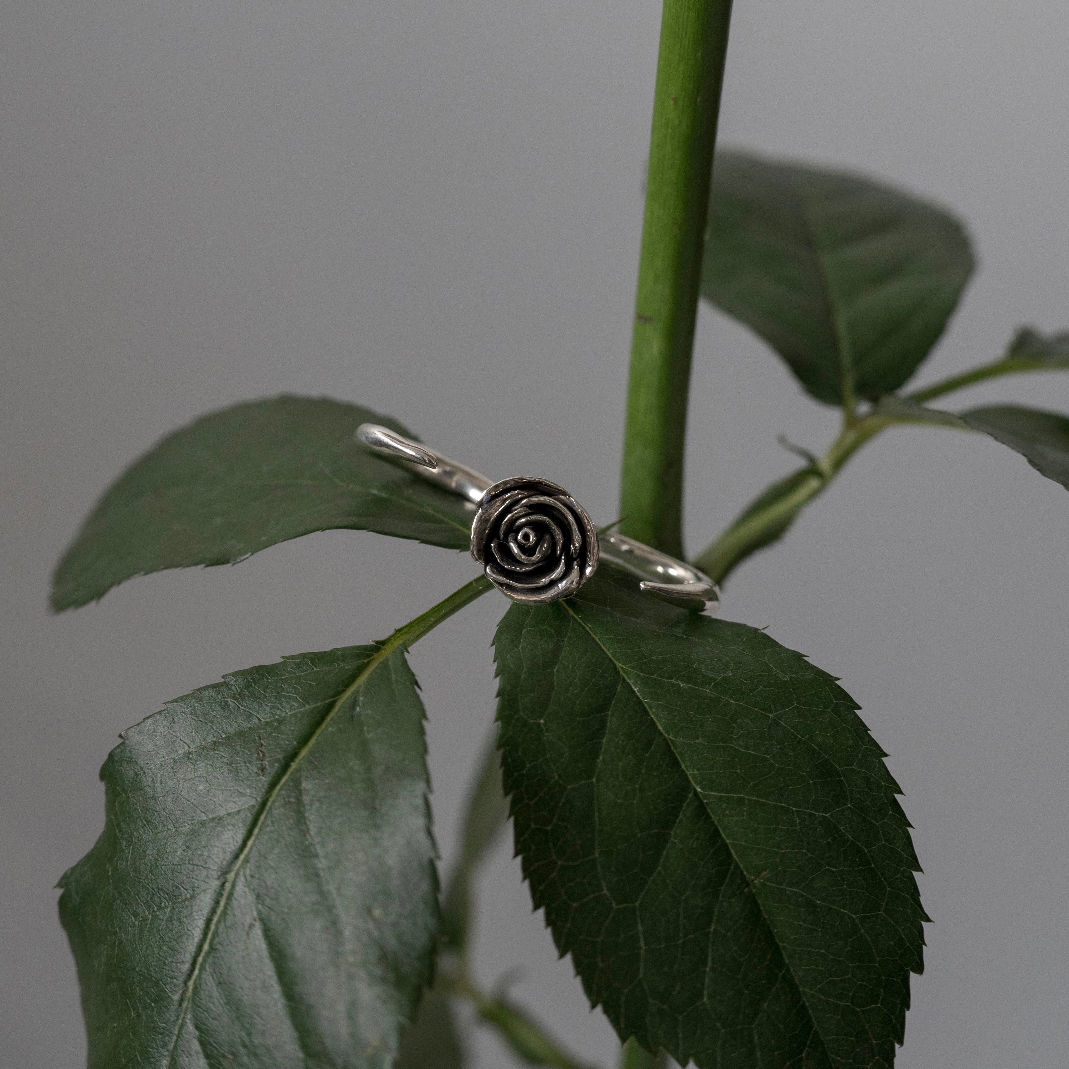 rose W finger ring