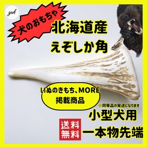 一本物　先端　小型犬用　蝦夷鹿のツノ　ワンちゃん用オモチャ　ドッグガム　鹿角