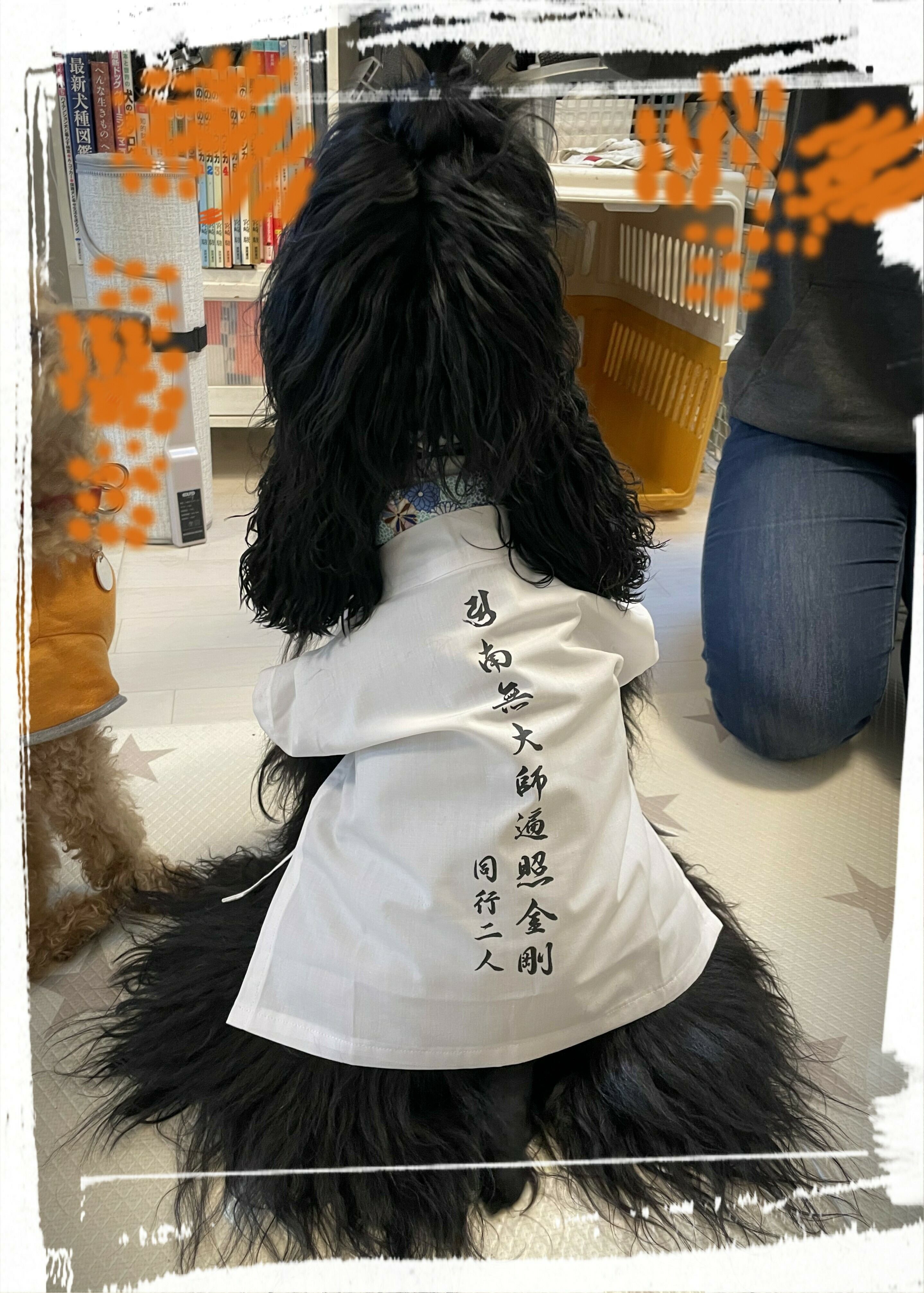 ペット用 お遍路白衣三点セット Lサイズ | hana-tsumugiはなつむぎ