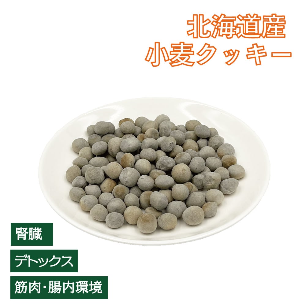 15%OFF【数量限定 賞味2027.1.27】北海道 炭クッキー|腎臓サポート・毎日の健康サポートにおすすめの無添加おやつ(植物発酵酵素+たもぎ茸配合)