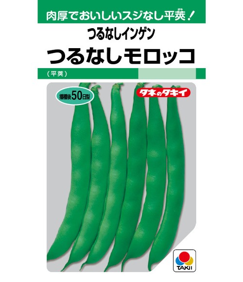 インゲン「つるなしモロッコ」（１L） 画像