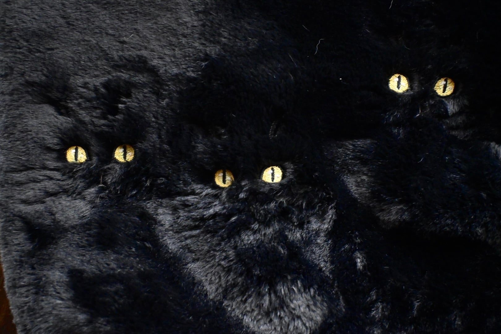 闇にひそむ黒猫ちゃんスヌード | 猫と暮らす洋裁店magical