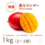 【ランク：特選品】 美らマンゴー 1kg（2～3個）
