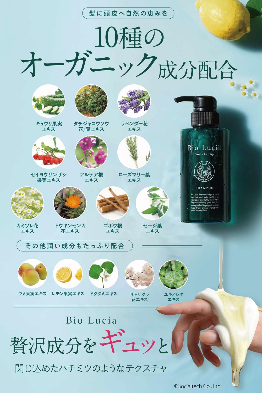 Bio Lucia（ビオルチア）オーガニック シャンプー 300mL×3本 アミノ酸