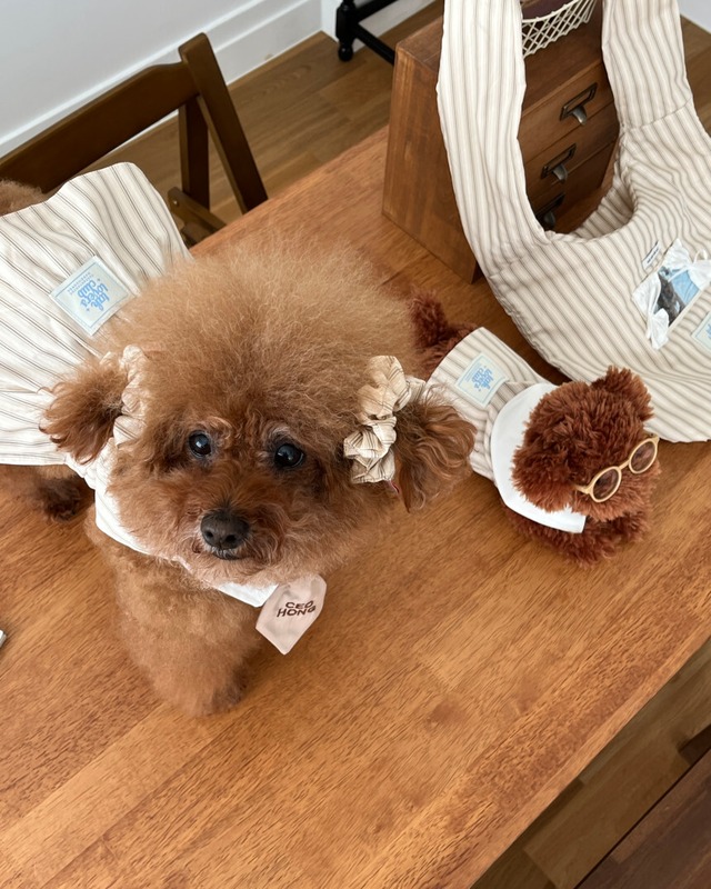 予約【tak!tak!tak!tak!】Vintage Stripe Curtain Bag  / 3color