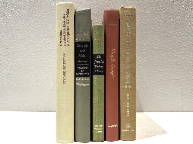 【SPECIAL PRICE】【DS477】'horizon'-5set- /display books