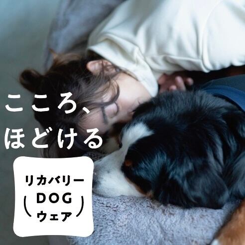 リカバリーDOGウエア LAUW × VENEX XLsize | LAUW（ラウー）