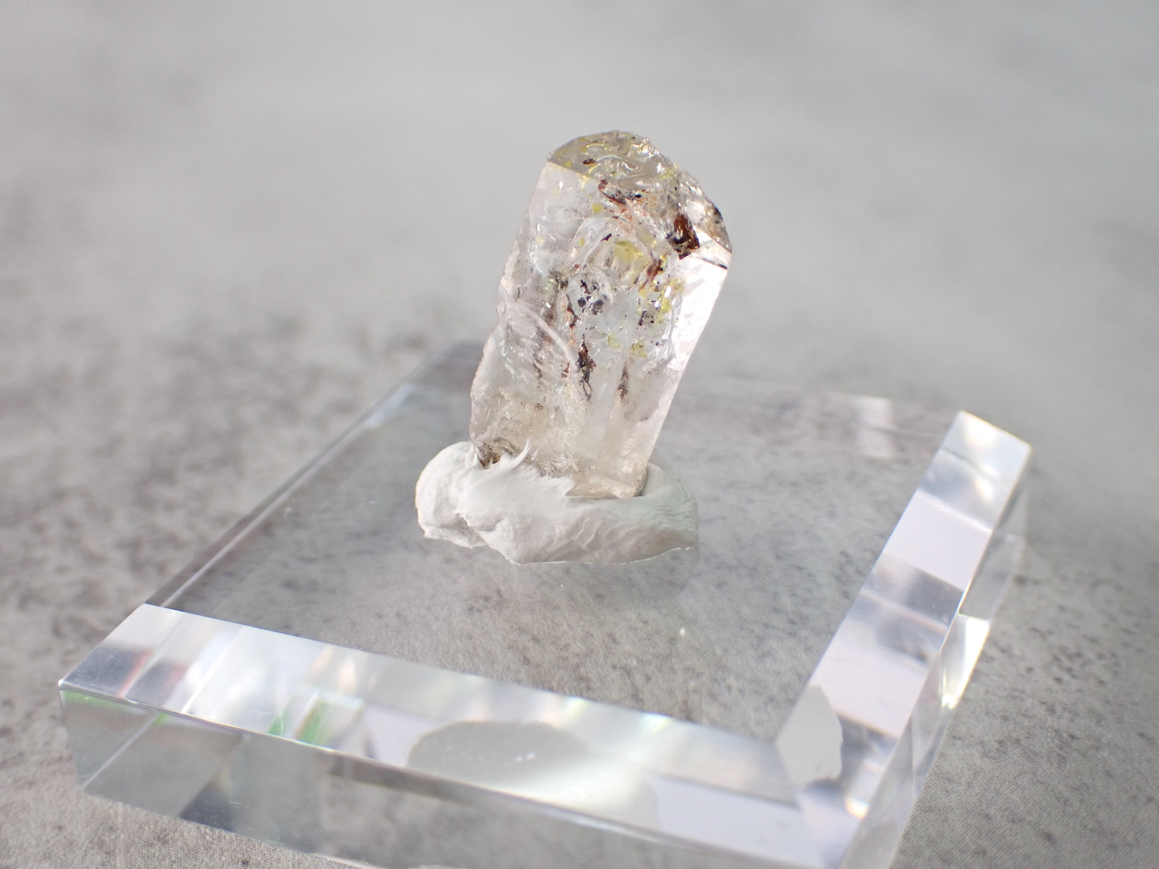 標本固定用粘土】ミネラルタック | differencee(ディファレンシー)