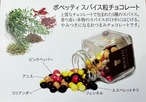 【ボベッティ】 (フランス)  スパイス粒チョコレート ミックス　(45g)