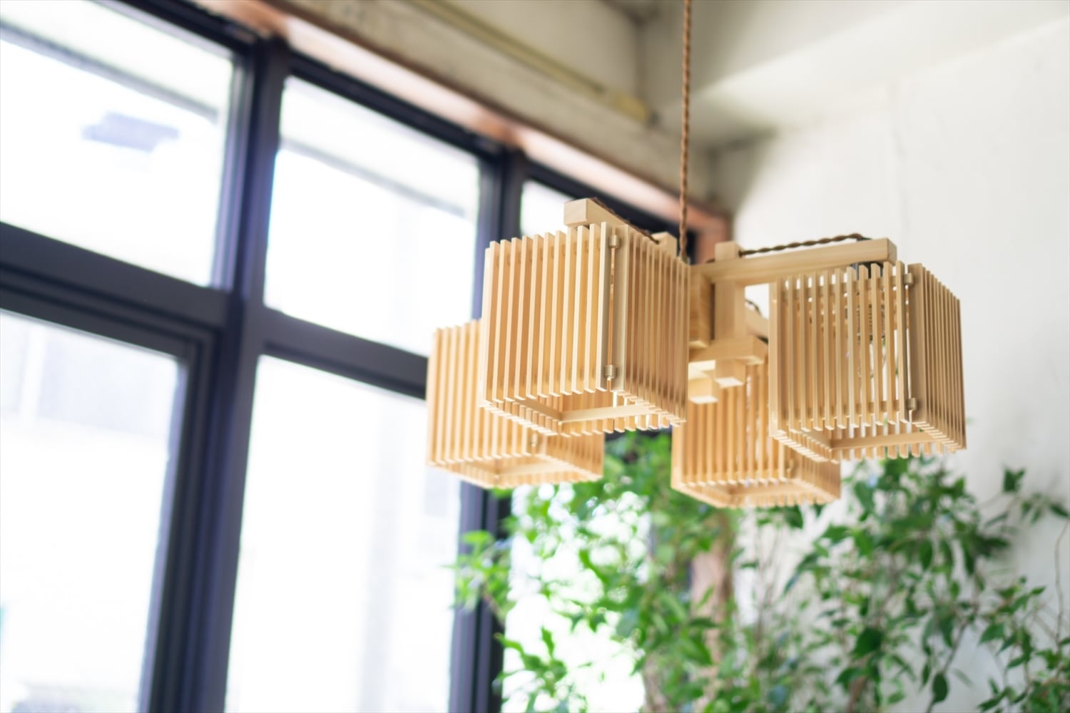 新洋電気〕 AP882 コンビネーションランプ／シャンデリア 冊 saku