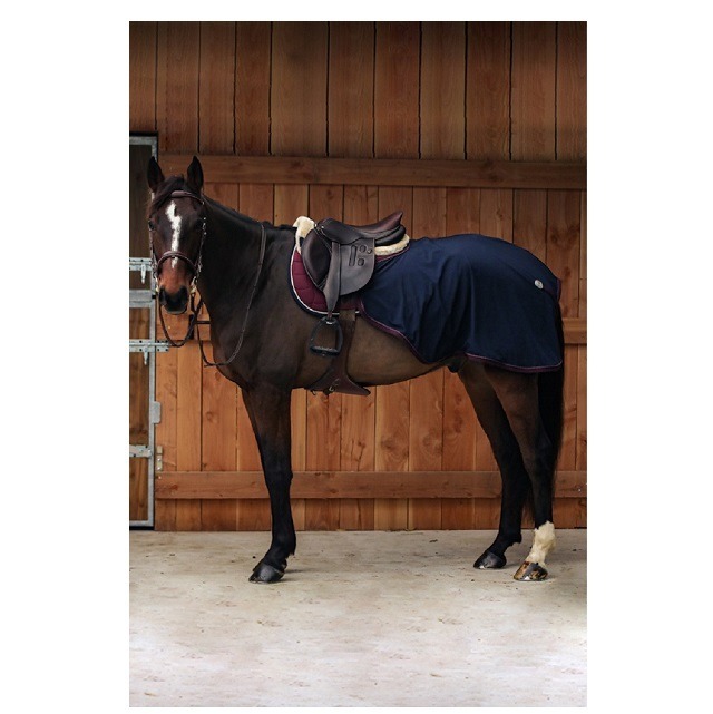 RHINO 馬着 250グラム 190㎝ uk6.3（馬具・乗馬用品・リノ ステーブル 
