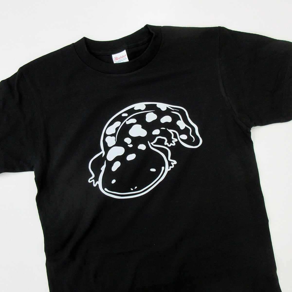 選べる ゆるい オオサンショウウオ Tシャツ am98 アニマル 両生類 特別天然記念物