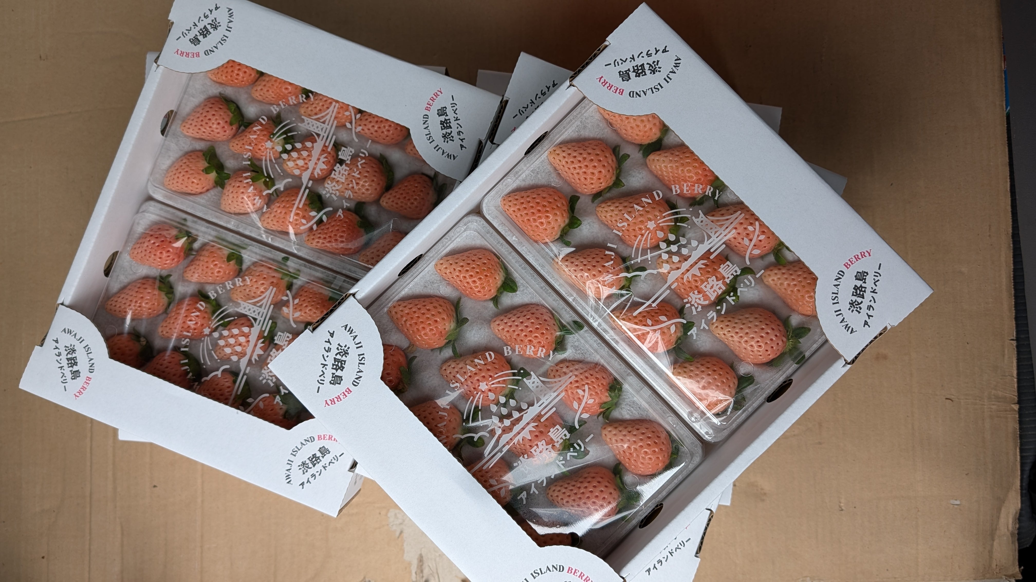 白い苺 淡路島産 淡雪 2パック入箱 アイランドベリーいちごイチゴ